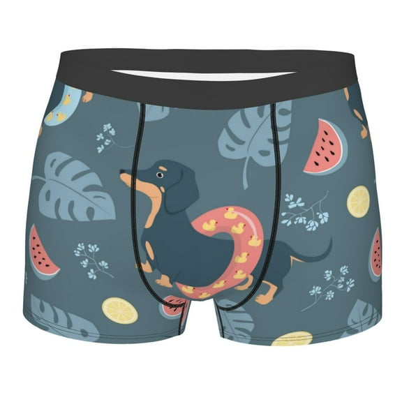 Junzan Watermelons Dachshunds Mens Underwear Boxer Briefs For Men’s - Small
