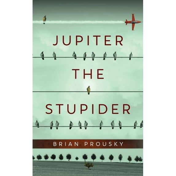 Jupiter the Stupider, (Hardcover)