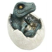 Jurassic Era Predator Velociraptor In Egg Dinosaur Figurine Hatchling Collectible Sculpture