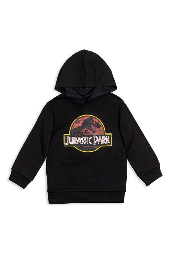 Toddler Boys Fleece Pullover Hoodie Toddler to Big Kid