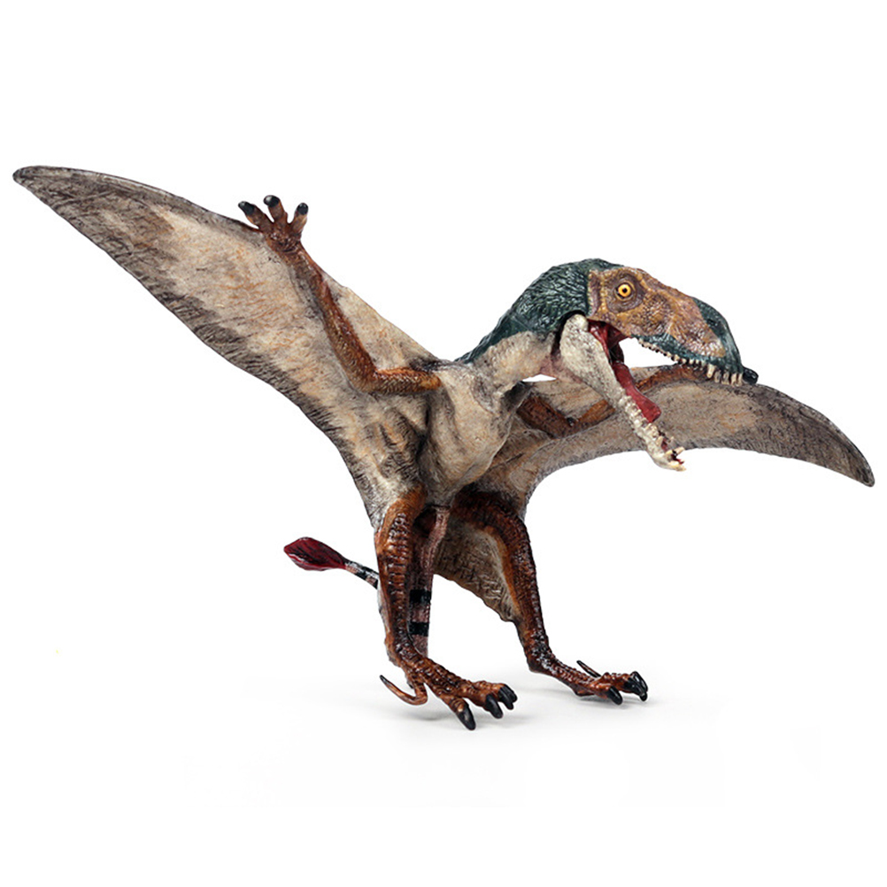 Jurassic Simulation Dinosaur World Pterosaur model new pteropterus pterodactyl children's solid plastic toy - image 1 of 7