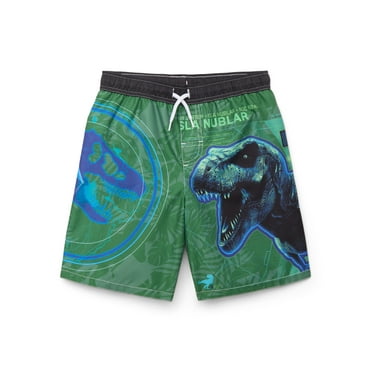 Jurassic World Boys T Rex Graphic Swim Trunks, Sizes 4-16