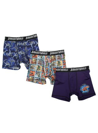 Paw Patrol Boys Underwear, 3 Pack Poly Boxer Briefs (Little Boys & Big Boys)
