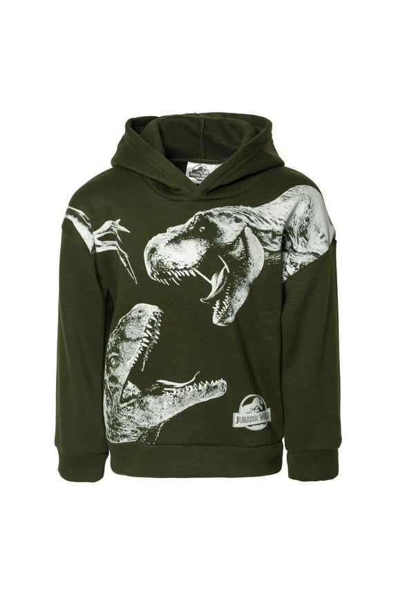 Dinosaur T-Rex Toddler Boys Fleece Pullover Hoodie Toddler to Big Kid