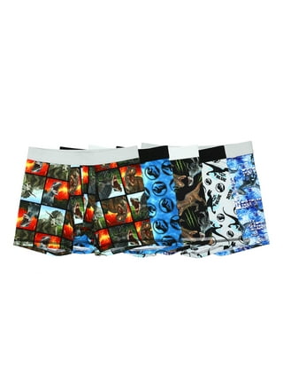  Core Pretty Boys Underwear Kids Cotton Boxer Briefs Dinosaur  Training Boyshorts for Toddler Size 3-12 Years (Pack of 5) (DINOSAUR RETRO,  5-6Years): Clothing, Shoes & Jewelry