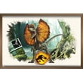 thumbnail image 1 of Jurassic World: Dominion - Dilophosaurus Focal Wall Poster, 14.725" x 22.375" Framed, 1 of 6