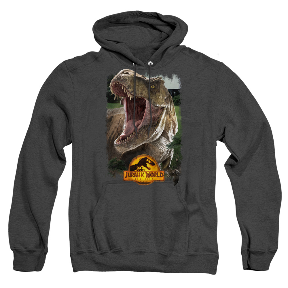 Power Rangers Green 25th Anniversary Hoodie - Unisex Pullover, 75% Cotton, Men & Women 2 thumbnail image