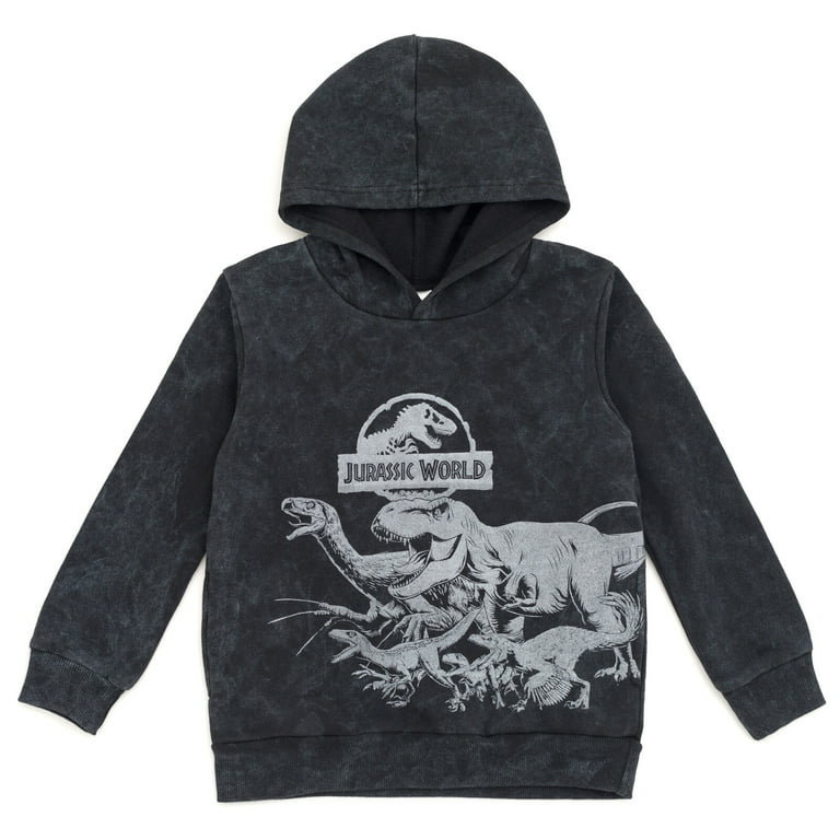 Jurassic World Jurassic Park Blue T-Rex Big Boys Fleece Pullover