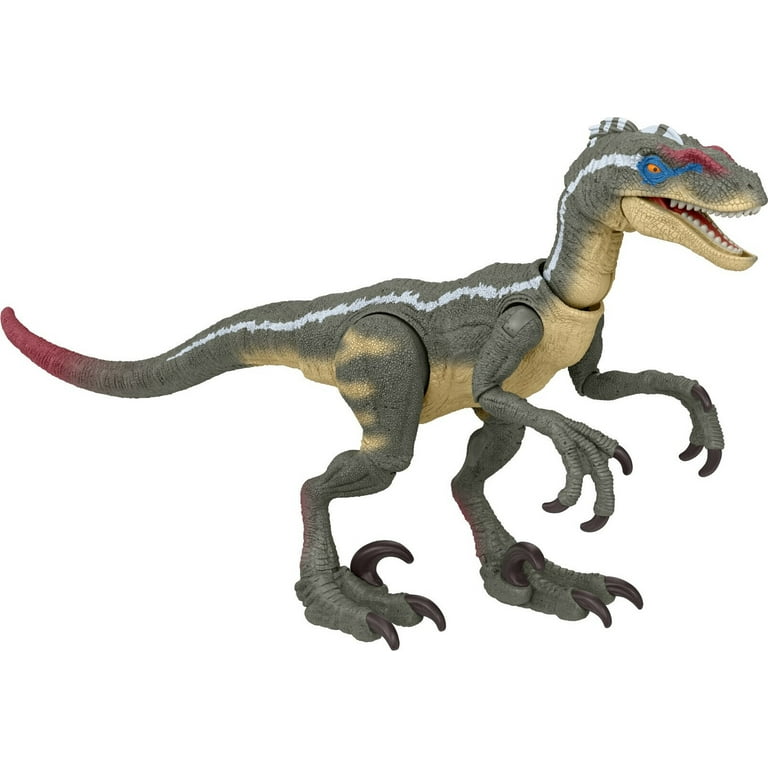 Jurassic World Jurassic Park III Hammond Collection Velociraptor Dinosaur  Action Figure (3.75 in tall) 