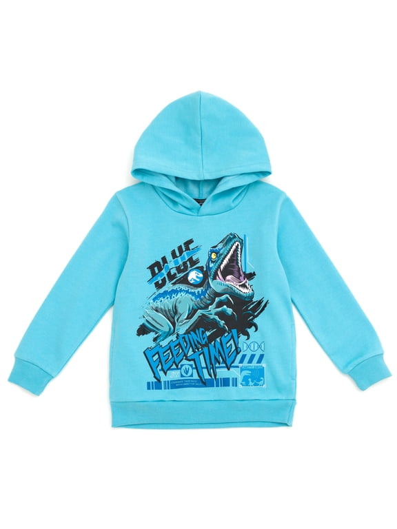 Park Blue Little Boys Fleece Pullover Hoodie 7-8