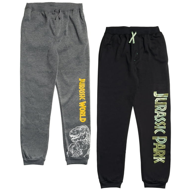 Jurassic World Park T Rex Big Boys Fleece 2 Pack Jogger Pants Toddler to Big Kid Walmart