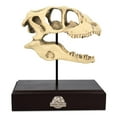 thumbnail image 1 of Jurassic World Velociraptor Skull Paperweight Replica | 8 Inches Tall, 1 of 8