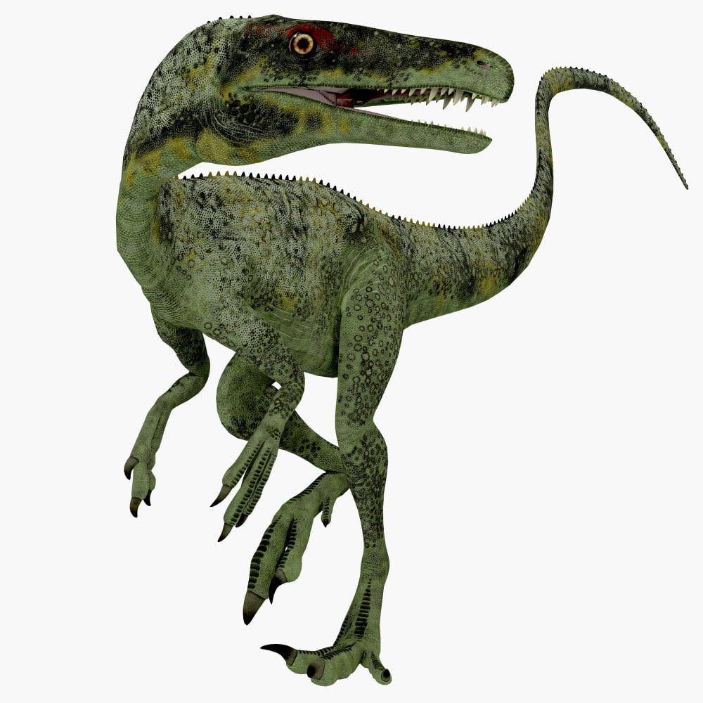 Juravenator dinosaur Canvas Art - Corey FordStocktrek Images (28 x 28)