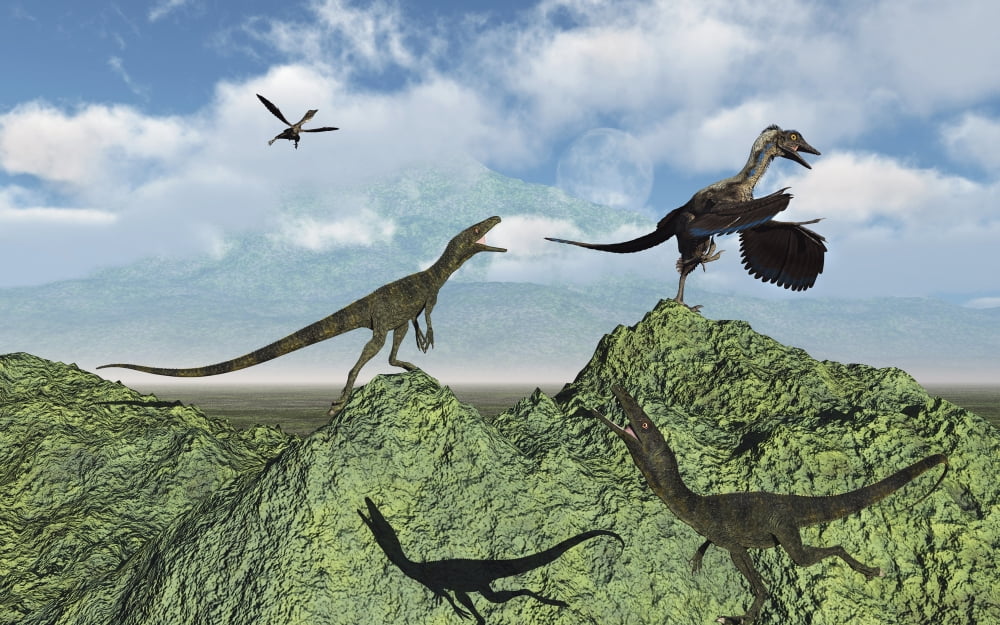 Juravenators chasing Archaeopteryx Canvas Art - Mark StevensonStocktrek Images (18 x 12)