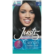 5 نساء فقط لون الشعر الدائم لمدة خمس دقائق ، بدون صيغة بالتنقيط ، الظل J-40 Rich Black ، 1 Pack