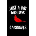 thumbnail image 1 of Just A Boy Who Loves Cardinals: Animal Nature Collection (Paperback), 1 of 1
