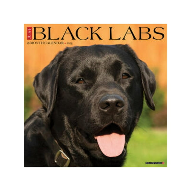Just Black Labs 2025 12 X 12 Wall Calendar