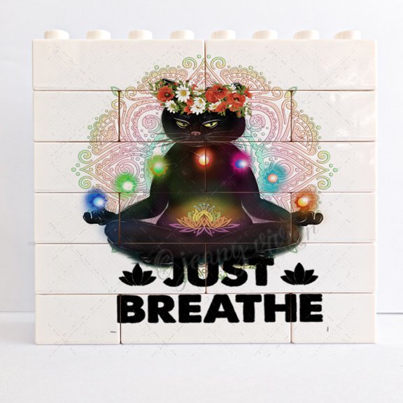 Just Breathe Black Cat Funny Desk Signs,Black Cat Signs,Cat Lovers Gift,Rustic Country Christmas Decorations For Best Friends,Sisters,Coworker, funny office signs for desk