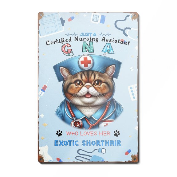Just a Certified Nursing Assistant Cna Who Loves Her Exotic Shorthair Vertical Metal Aluminum Sign Cat Lover Kitten Owner Gifts Wall Art Home Decor - 00003