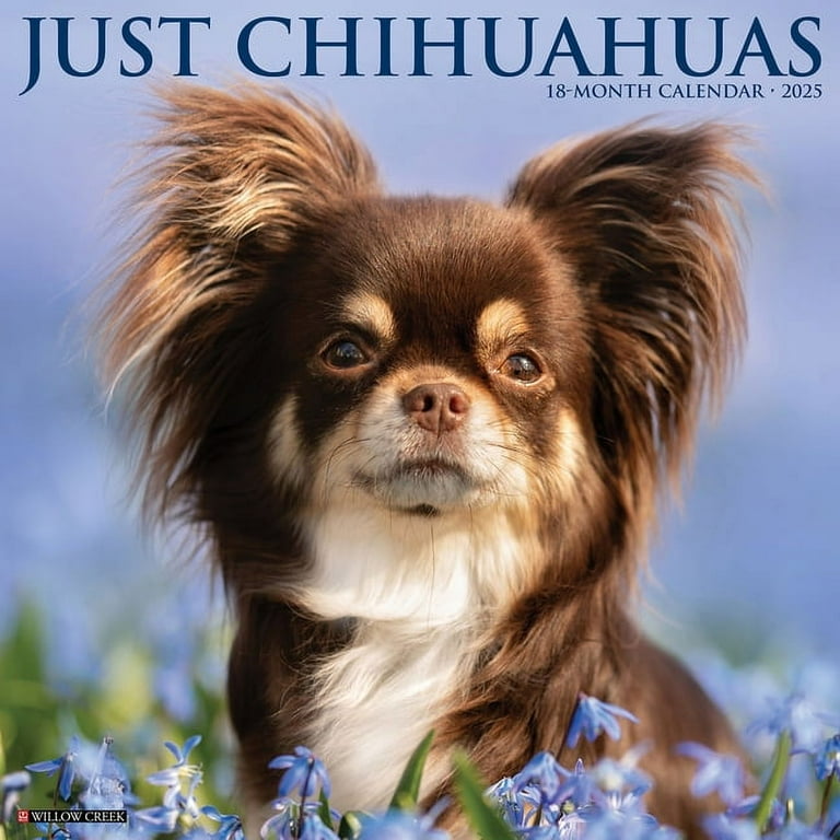 Akc Event Calendar 2025