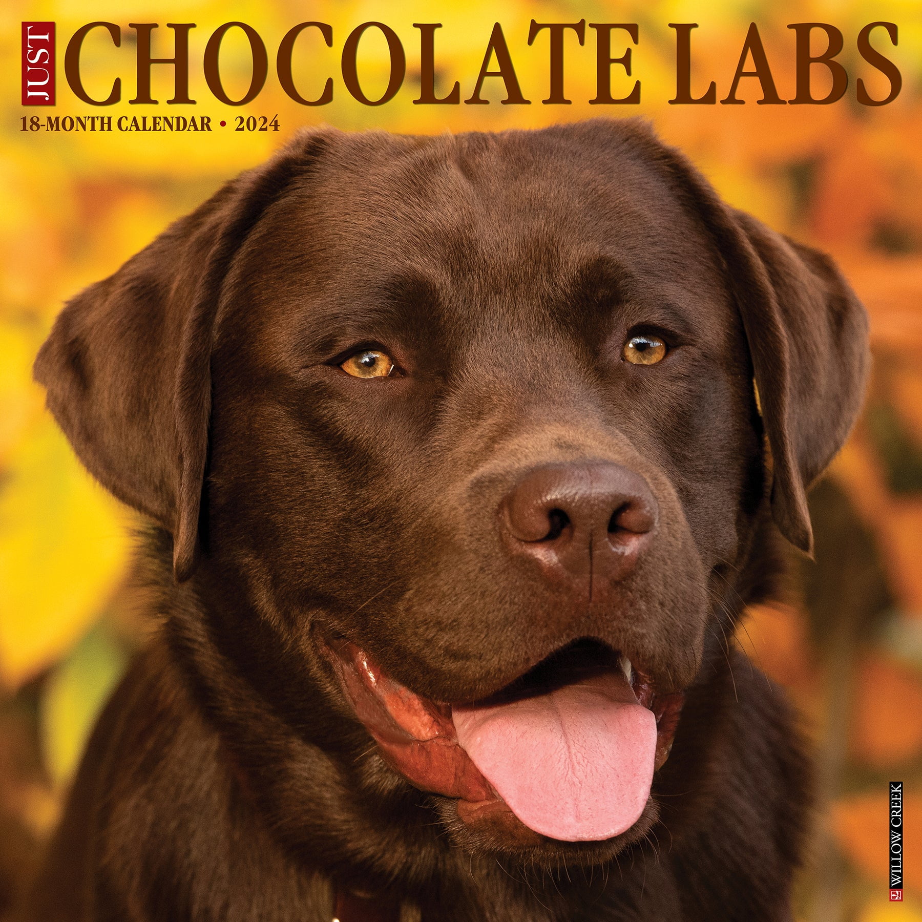 Just Labs 2024 Calendar Just Chocolate Labs 2024 12 X 12 Wall Calendar (Other) - Walmart
