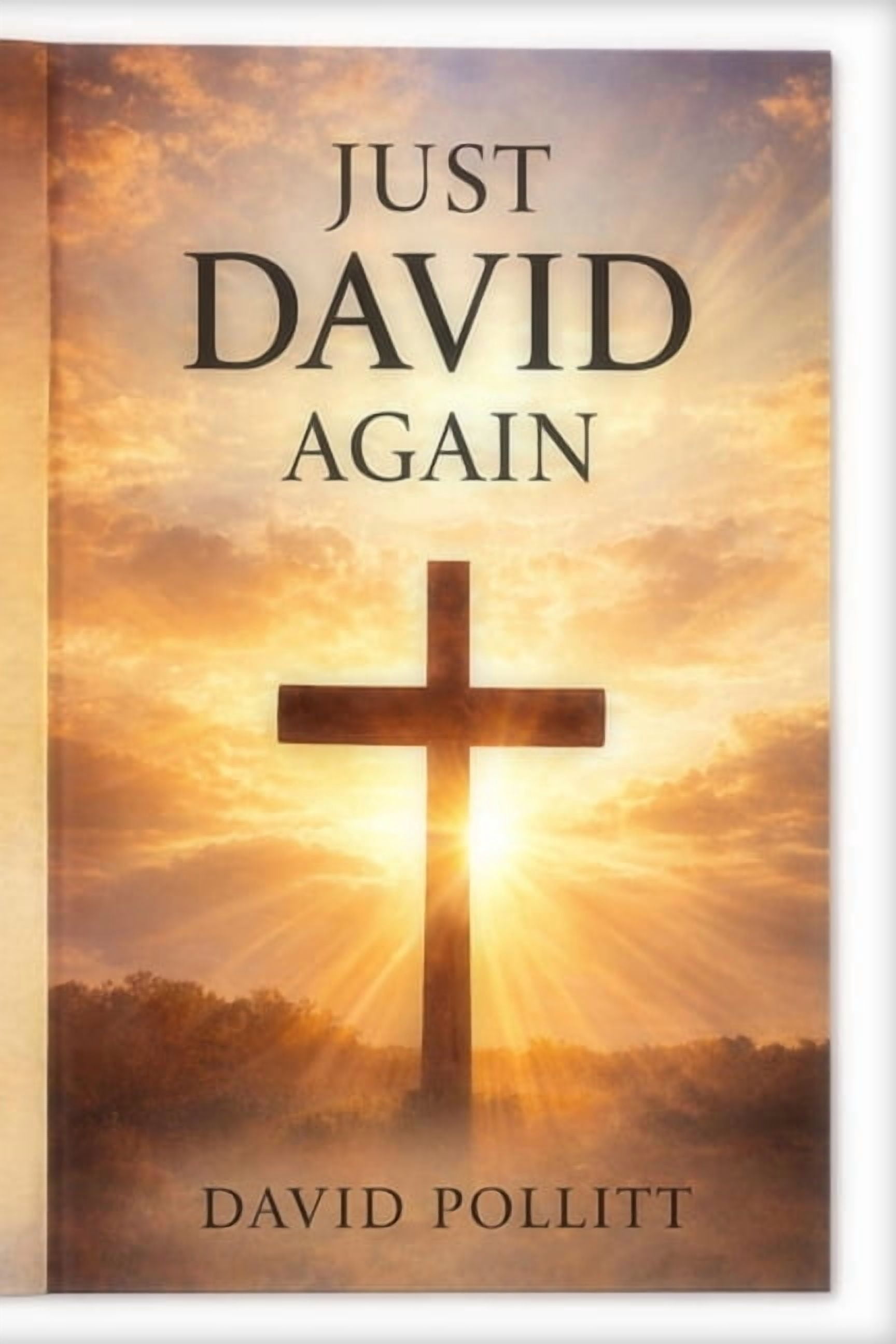 Just David Again: How God carries us through our most difficult Journeys, (Paperback)