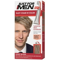 Just For Men Easy Comb-in Hair Color for Men with Applicator, Rich Black, A-65