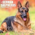thumbnail image 1 of Just German Shepherds (Dog Breed) 2021 Wall Calendar (Other), 1 of 2