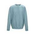 thumbnail image 1 of Just Hoods By AWDis JHA030 Adult 80/20 Midweight College Crewneck Sweatshirt - Sky Blue - Medium, 1 of 1