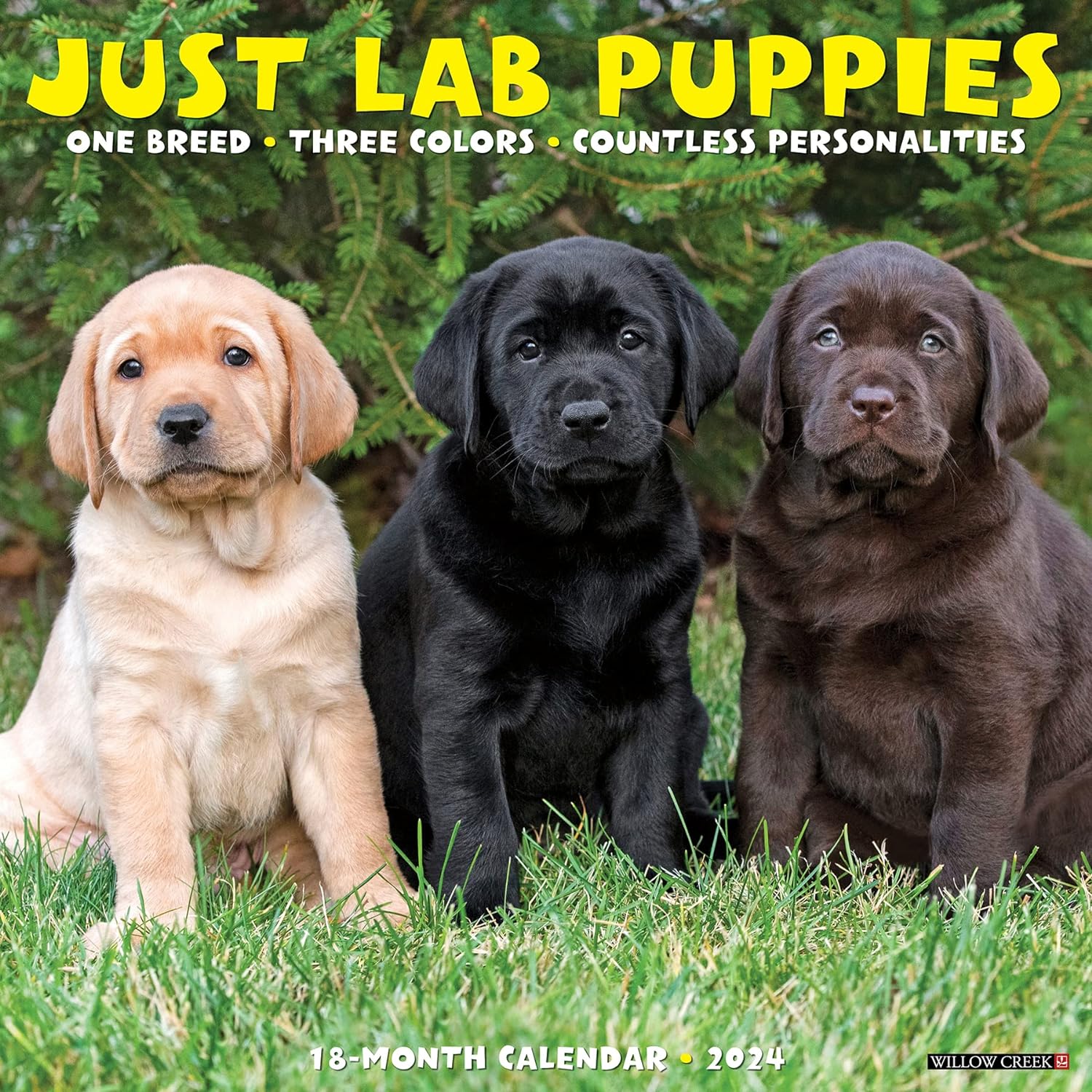Just Lab Puppies 2025 Calendar