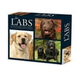 thumbnail image 1 of Just Labs 2026 5.4 X 6.2 Box Calendar, (Hardcover), 1 of 1