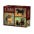 thumbnail image 1 of Just Labs 2026 Box Calendar, (Paperback), 1 of 5