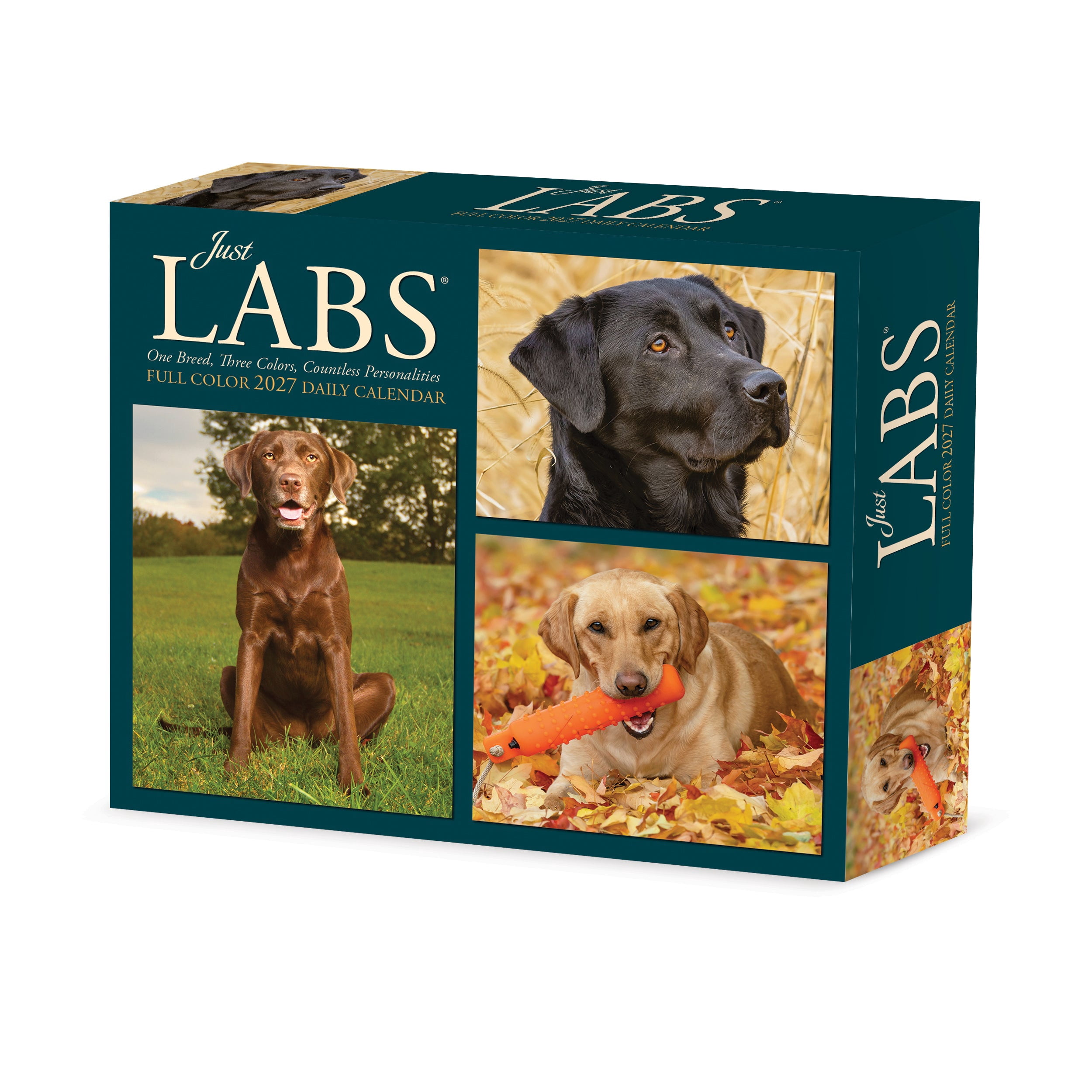 Willow Creek Press, Just Labs 2027 Box Calendar