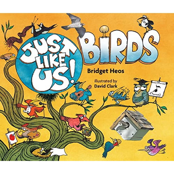 Pre-Owned Just Like Us! Birds (Paperback) 0358003865 9780358003861