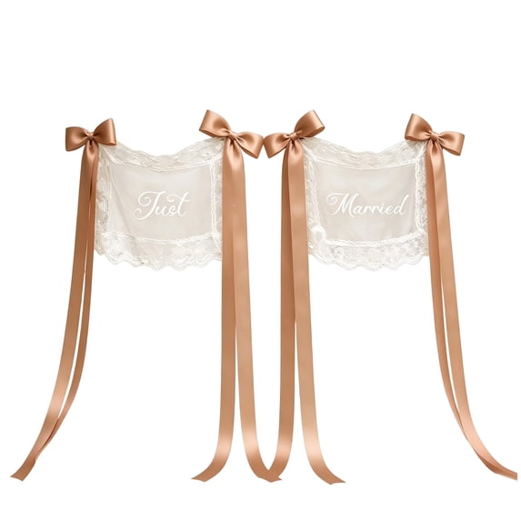 Just Married Wedding Chair Signs Set of 2, Sheer Lace Chair Back Decor with Ribbons for Bride Groom, Rustic Wedding Reception Ceremony Chair Covers Decorations