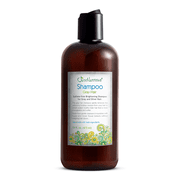 Just Nutritive Gray Hair Shampoo, Strengthening, Brightening, Nourishing, Vegan, Color Safe, Sulfate-Free, 16 oz