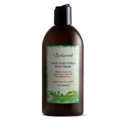 Just Nutritive Psoriasis & Eczema Scalp Treatment, Moisturize & Soothing Irritated Dry Scalp, 8oz