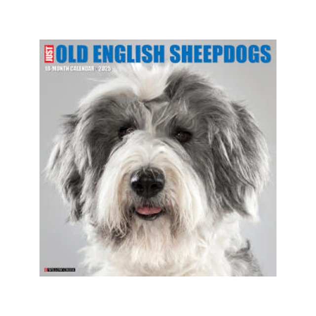 Just Old English Sheepdogs 2025 12 X 12 Wall Calendar