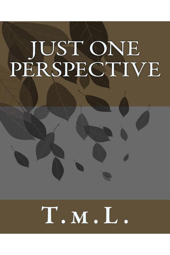 Just One Perspective, (Paperback)