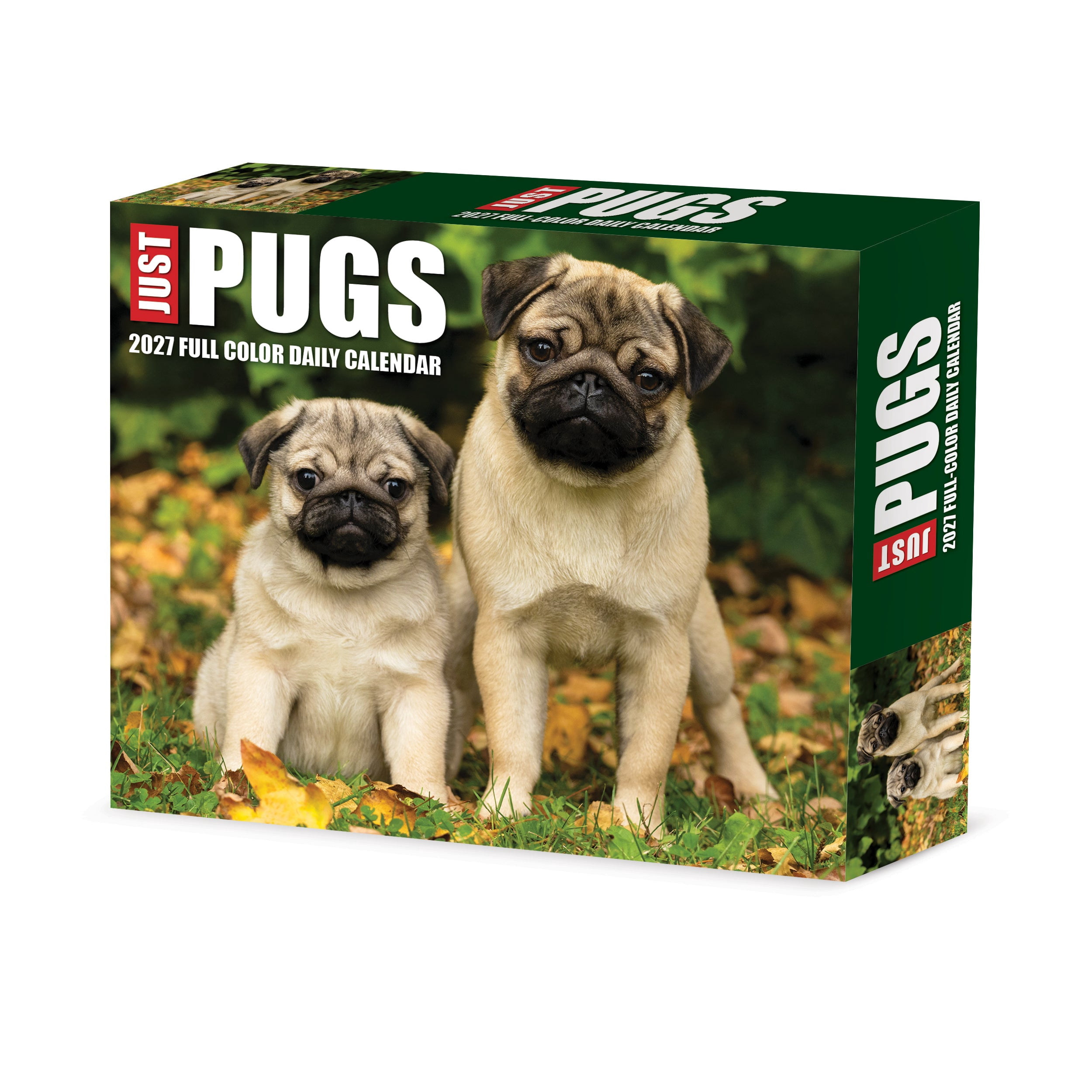 Willow Creek Press, Just Pugs 2027 Box Calendar