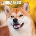 thumbnail image 1 of Just Shiba Inus 2022 Wall Calendar, 1 of 3