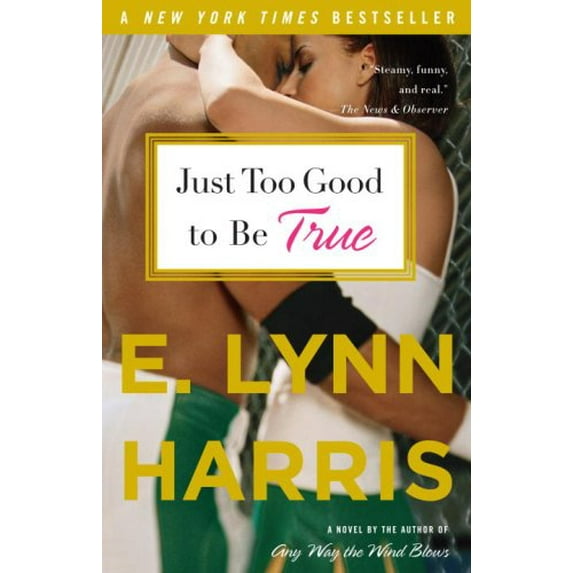 Pre-Owned Just Too Good to Be True (Paperback) 0385492731 9780385492737