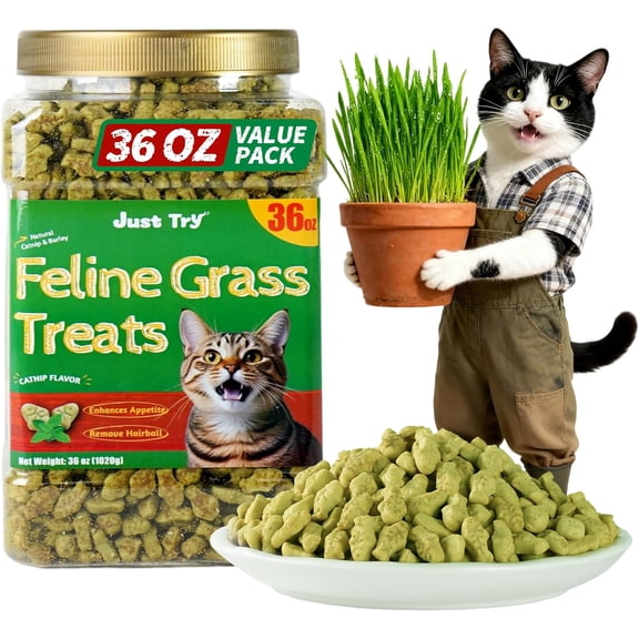 Just Try 36 OZ Cat Treats for Indoor Cats Hairball Control Natural Salmon Healthy Cat Grass Treats Kitten Snacks Training Biscuits Catnip for Cats Dental Care