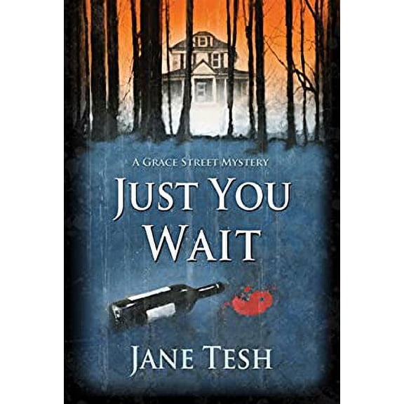 Pre-Owned Just You Wait : A Grace Street Mystery 9781464203671 Used