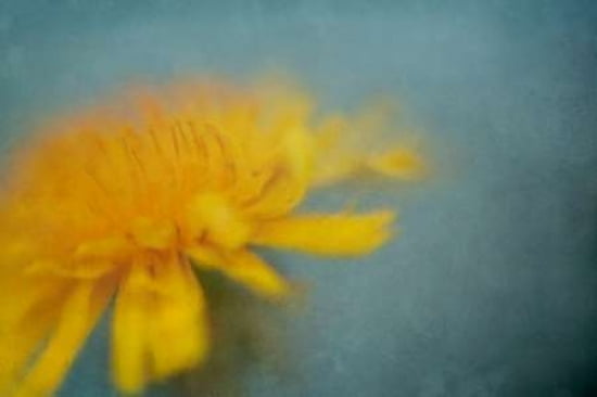 Just a Weed Canvas Art - Roberta Murray (24 x 36)