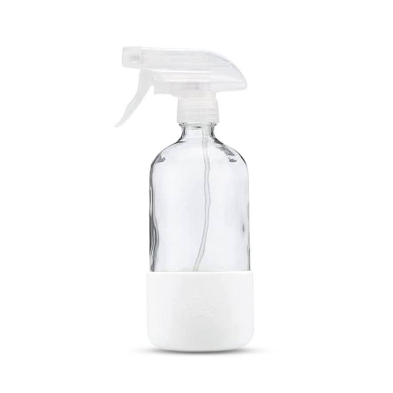 Reusable Glass Bottle, 16 OZ Glass Bottles