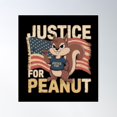 thumbnail image 1 of Justice For Squirrel Poster Wall Art, Modern Wall Decor For Living Room Bedroom, 16x24 UNFRAMED, 1 of 3