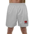 thumbnail image 1 of Justice League Cyborg Logo Mens Lined Mesh Shorts, Silver, Large, 1 of 6