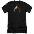 thumbnail image 1 of Justice League Movie - Aquaman Logo - Premium Slim Fit Short Sleeve Shirt - Medium, 1 of 2