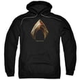 thumbnail image 1 of Justice League Movie - Aquaman Logo - Pull-Over Hoodie - XXXX-Large, 1 of 2